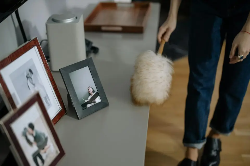The antistatic duster: The revolution in cleaning furniture and decor