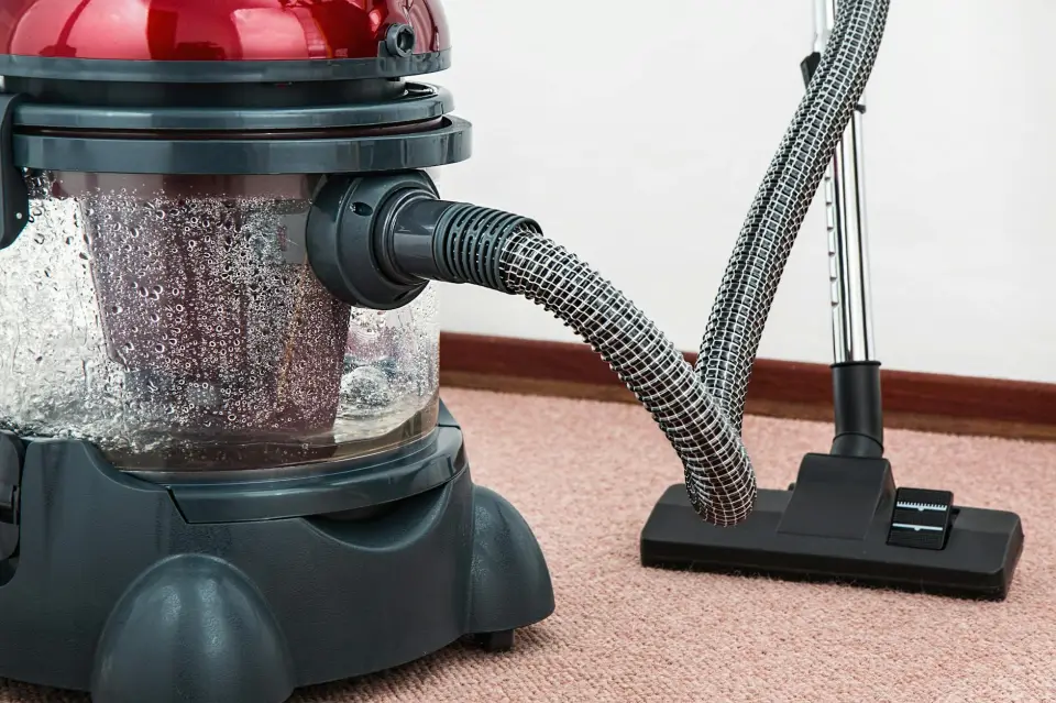 Aspirateur Delphin : Caractéristiques du Système Ultime pour Allergiques