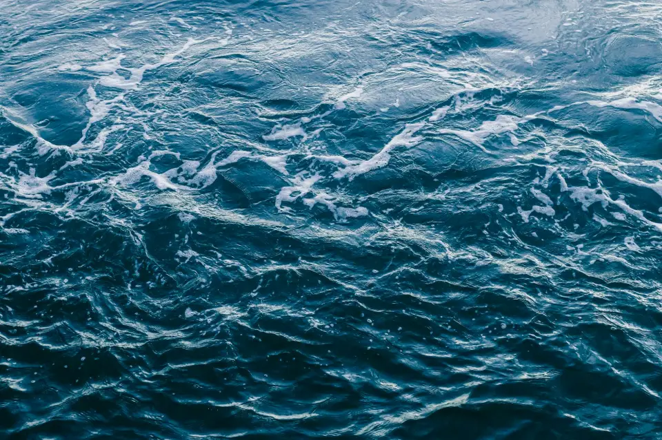 Filtration par eau : Le piège ultime pour les acariens et les allergènes