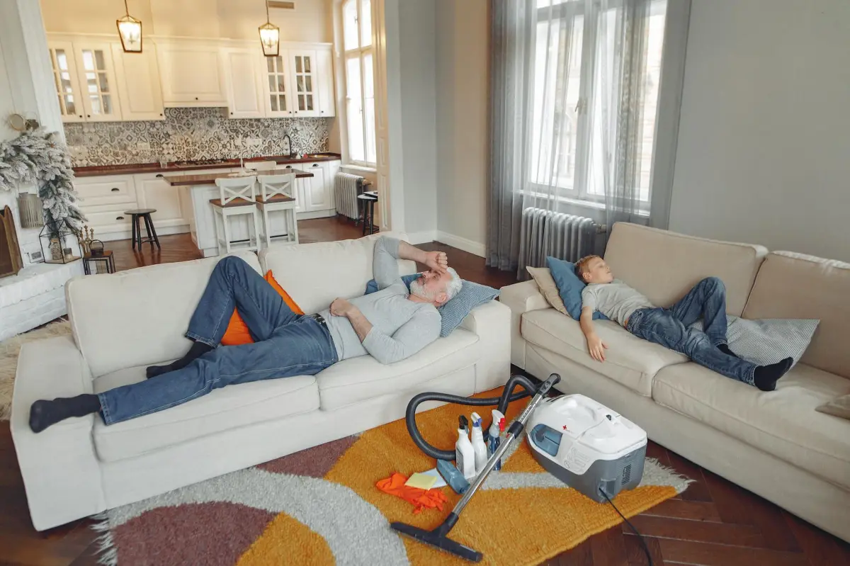 Aspirateur Delphin : Avis honnête, prix et vaut-il vraiment la peine
