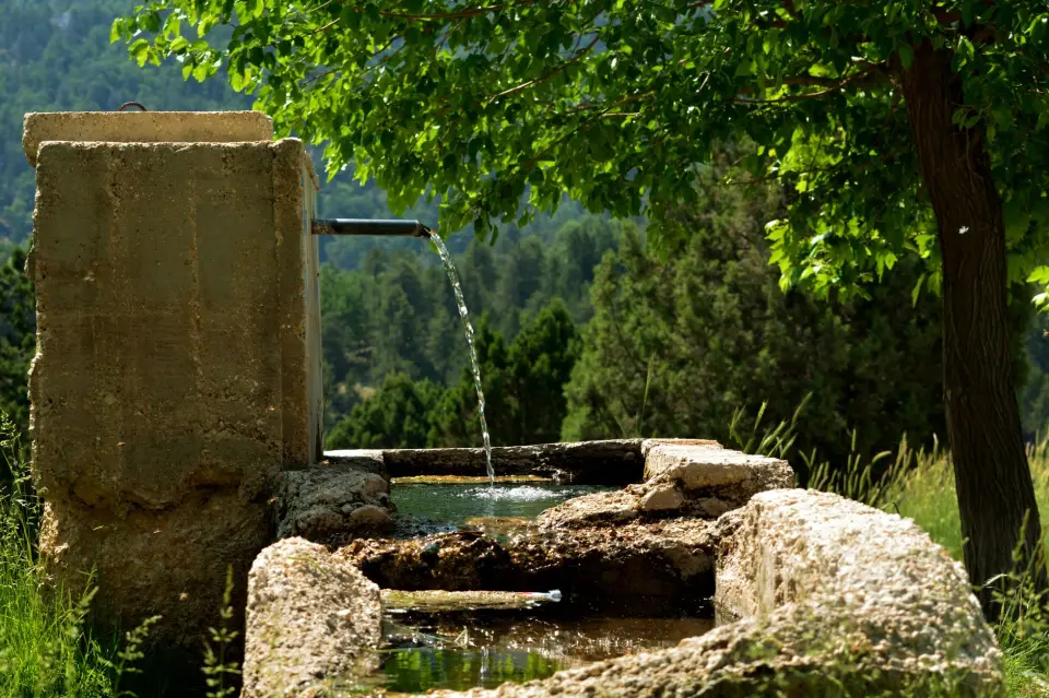 Por qué el agua es el único filtro que necesitas (y el más económico)
