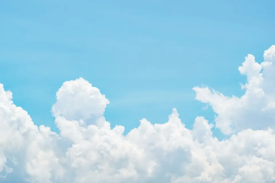 Purification de l'air : Respirez un environnement frais et renouvelé chaque jour