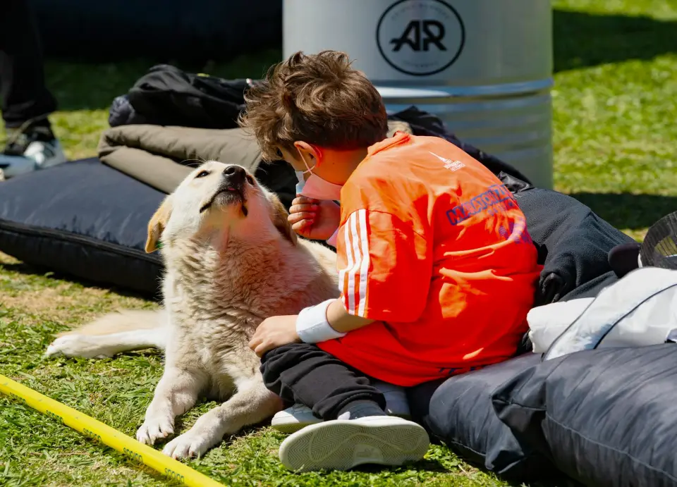 The indispensable ally if you live with pets and severe allergies