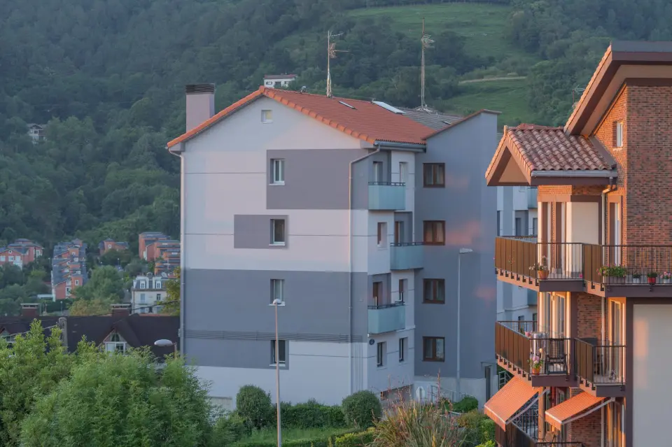 Ideal inspection frequency for homes with pets and allergy sufferers