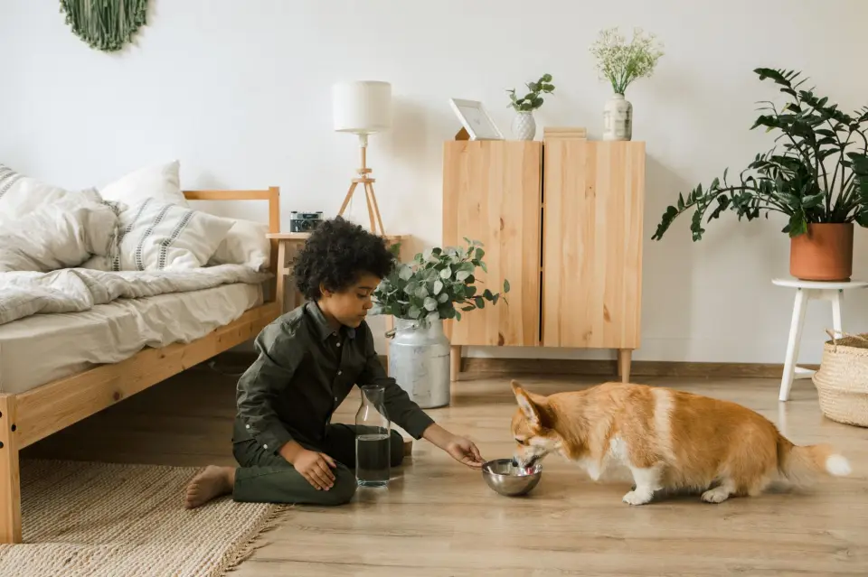 The Transformative Impact on Homes with Pets and Respiratory Sensitivity