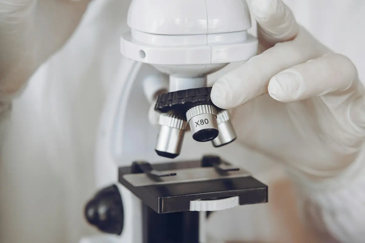 Éradication microscopique : Ce qui se passe vraiment dans votre matelas