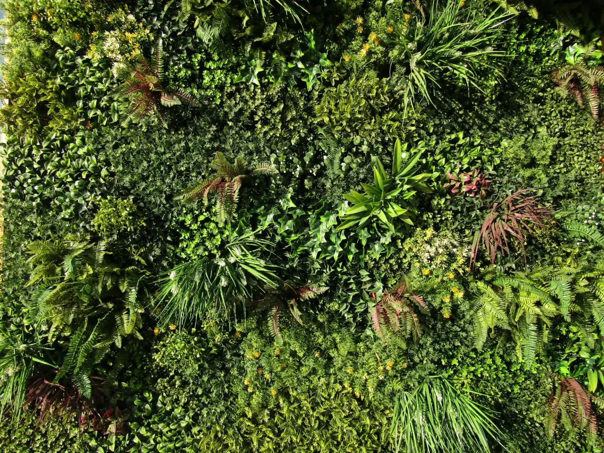 5. Safe maintenance of indoor plants and fragile objects
